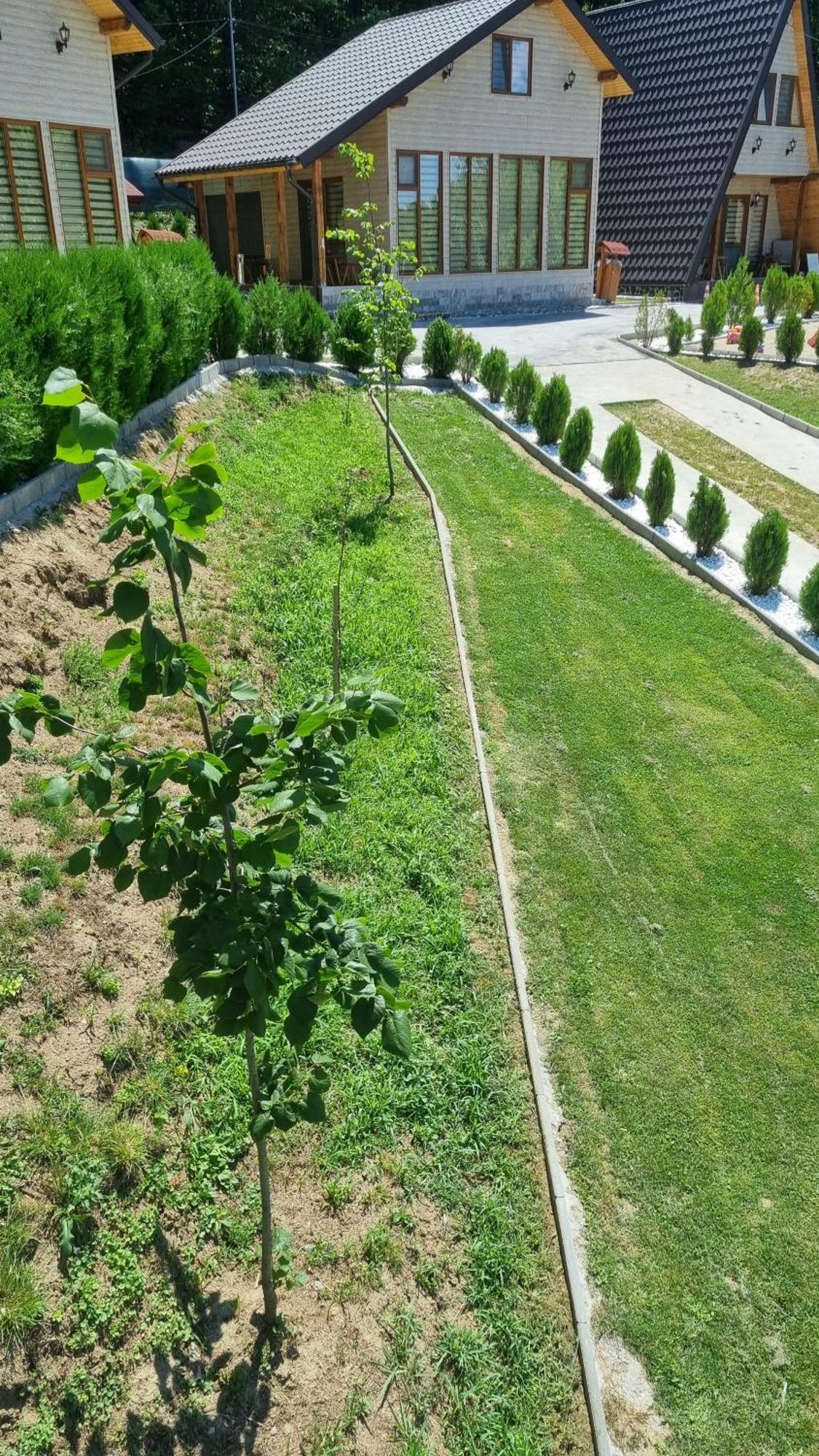 La Maria Si Ioana Apartment Curtea De Arges Ngoại thất bức ảnh